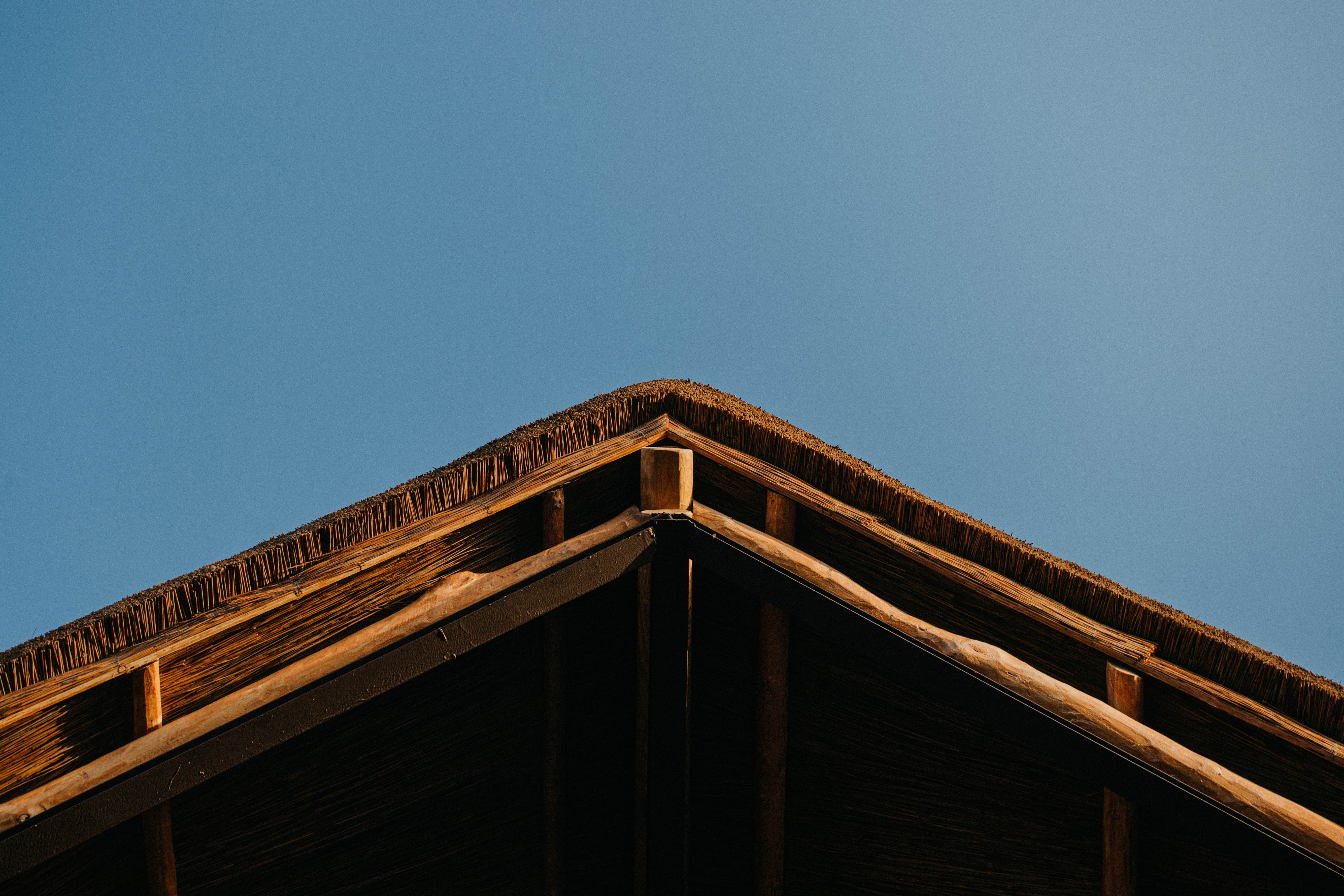 Diseño de interior restaurante Bocapez