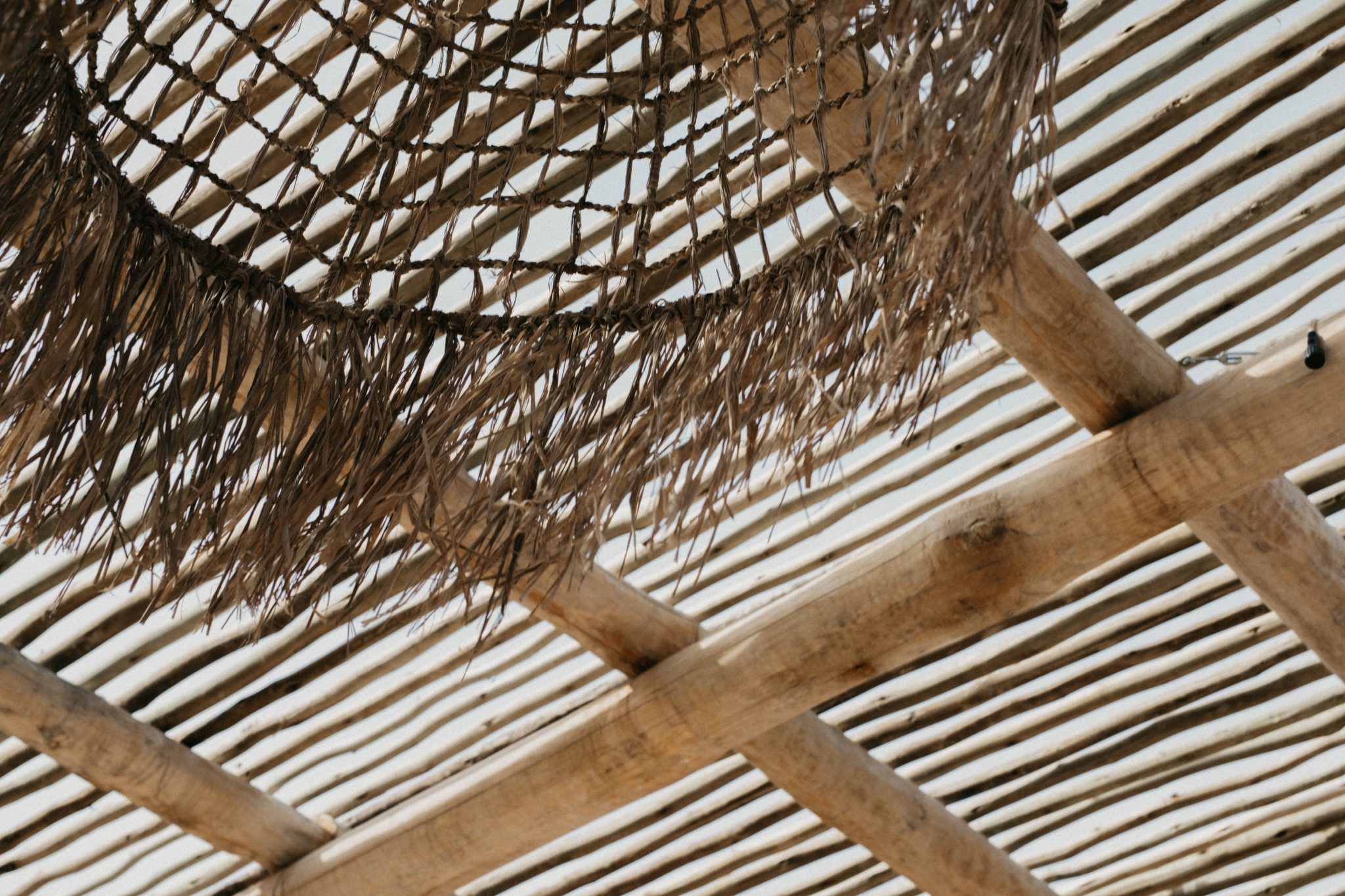 Diseño de interior restaurante Bocapez