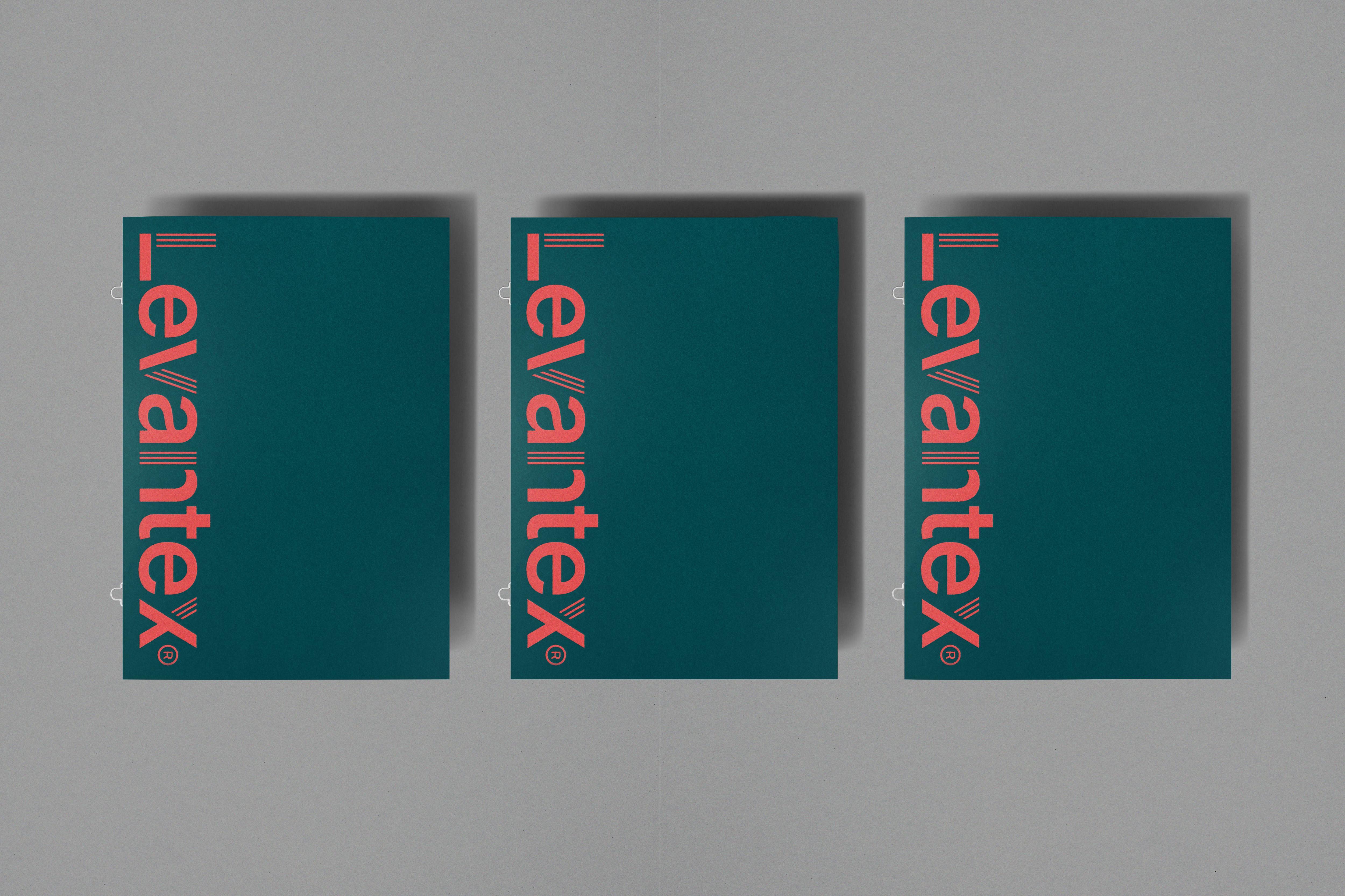 Identidad visual Levantex