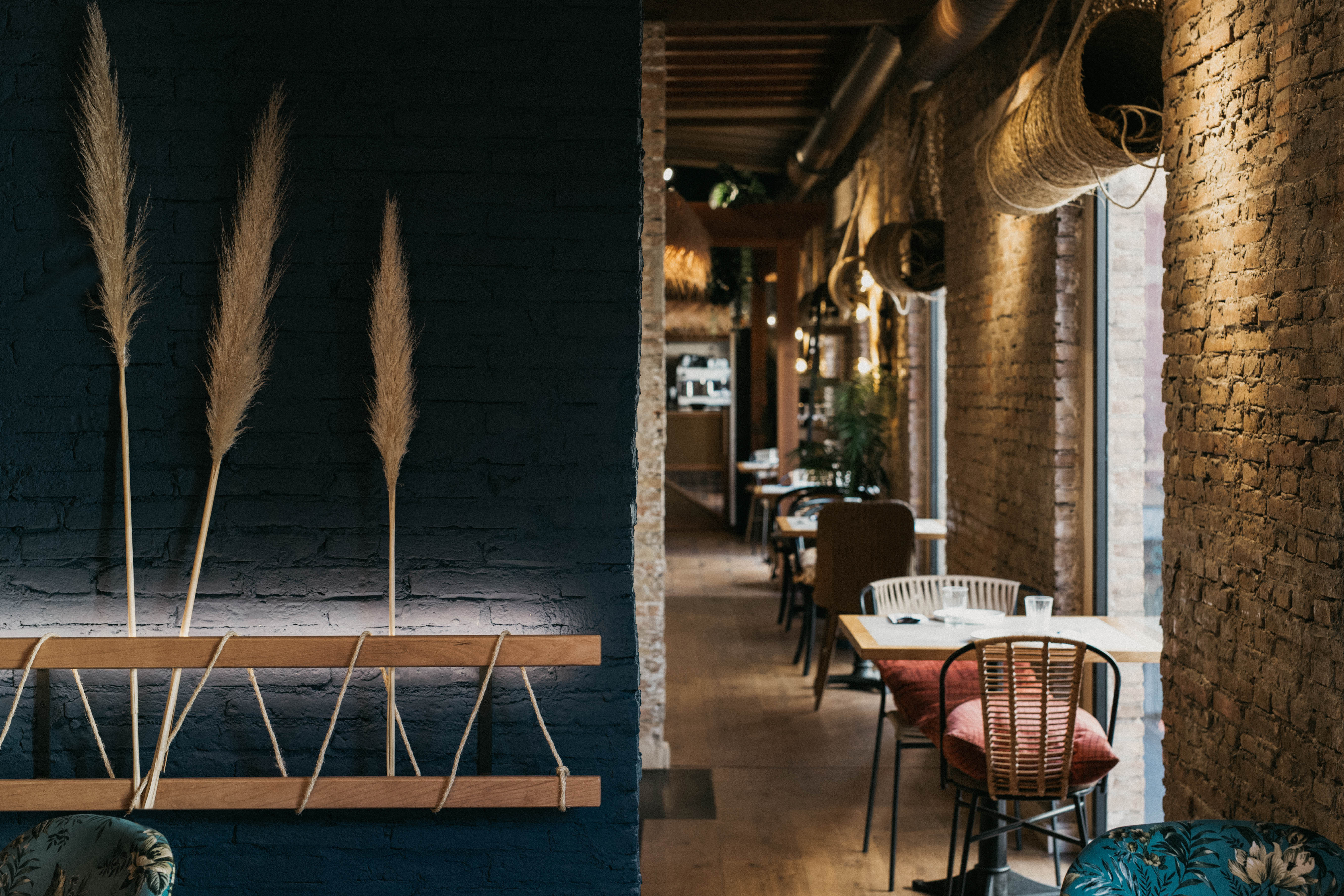 Diseño de interiores restaurante Pico de Gallo