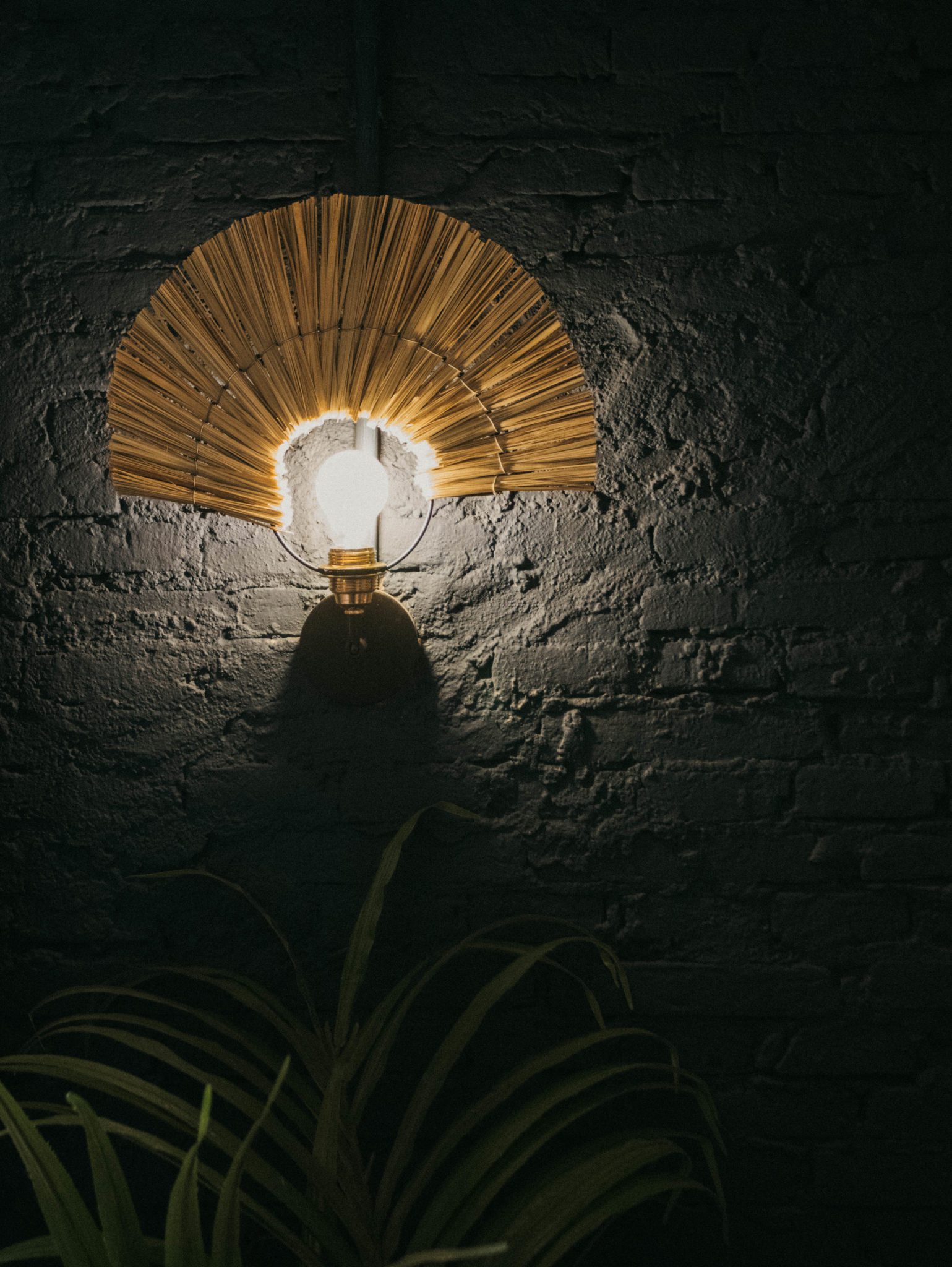 Diseño de interiores restaurante Pico de Gallo