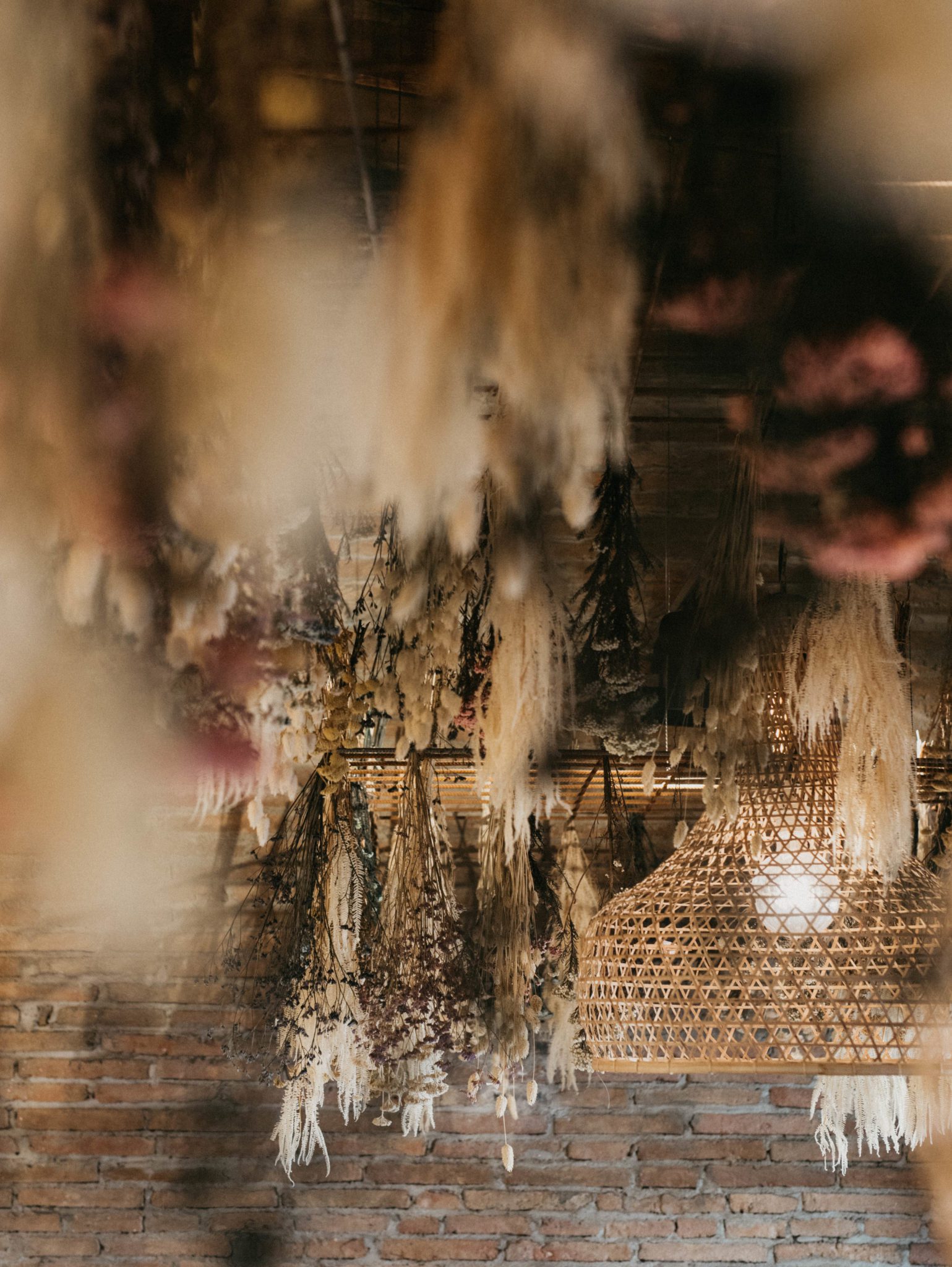 Diseño de interiores restaurante Pico de Gallo