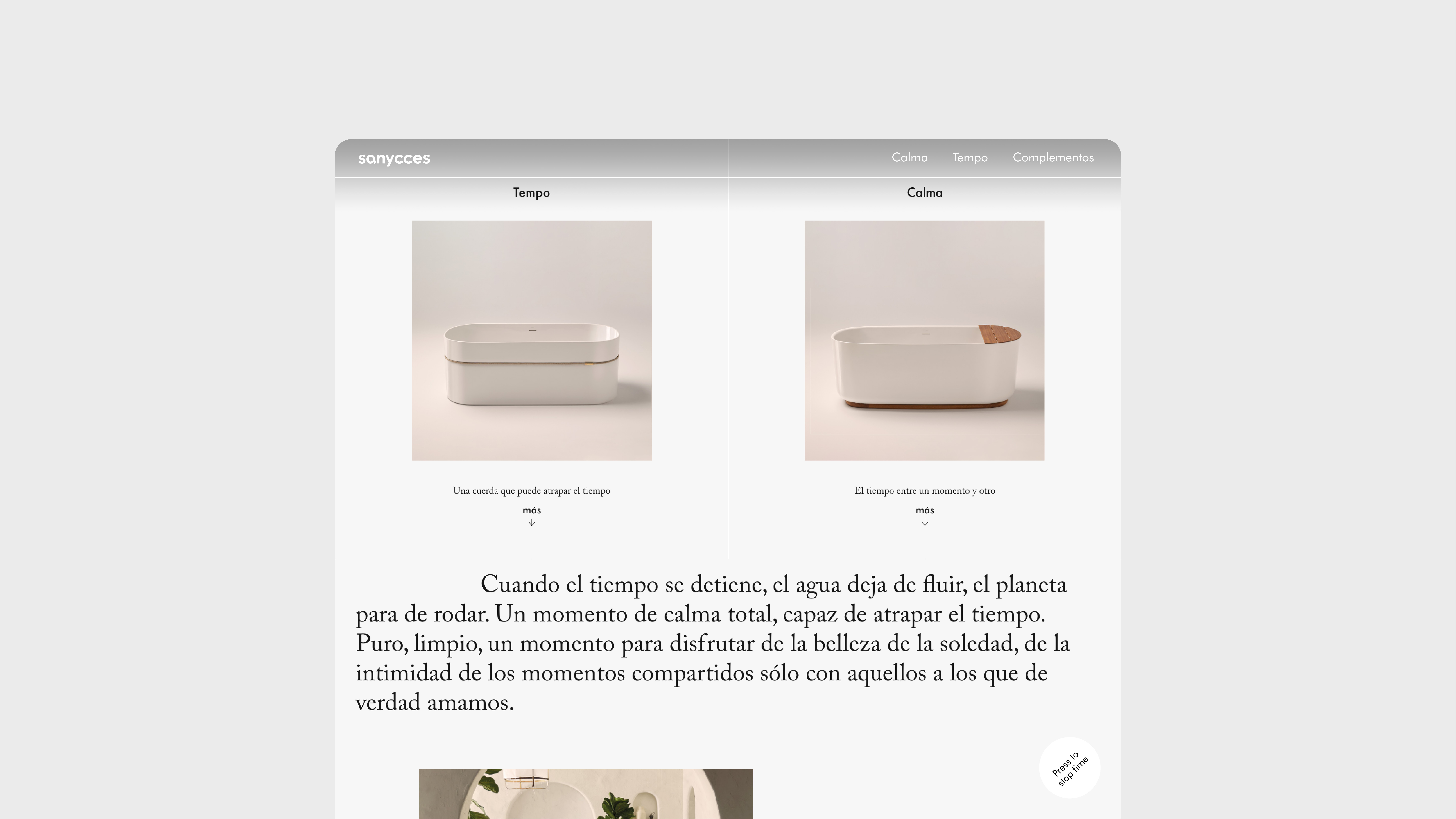 Diseño landing page Sanycces