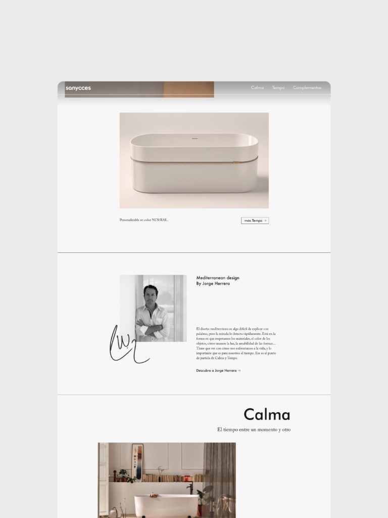 Diseño landing page Sanycces
