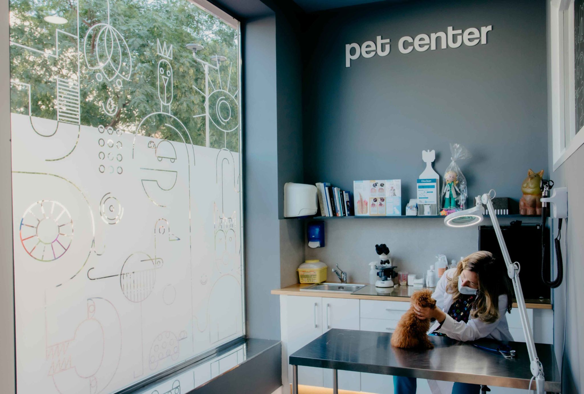 diseño interior veterinario castellon