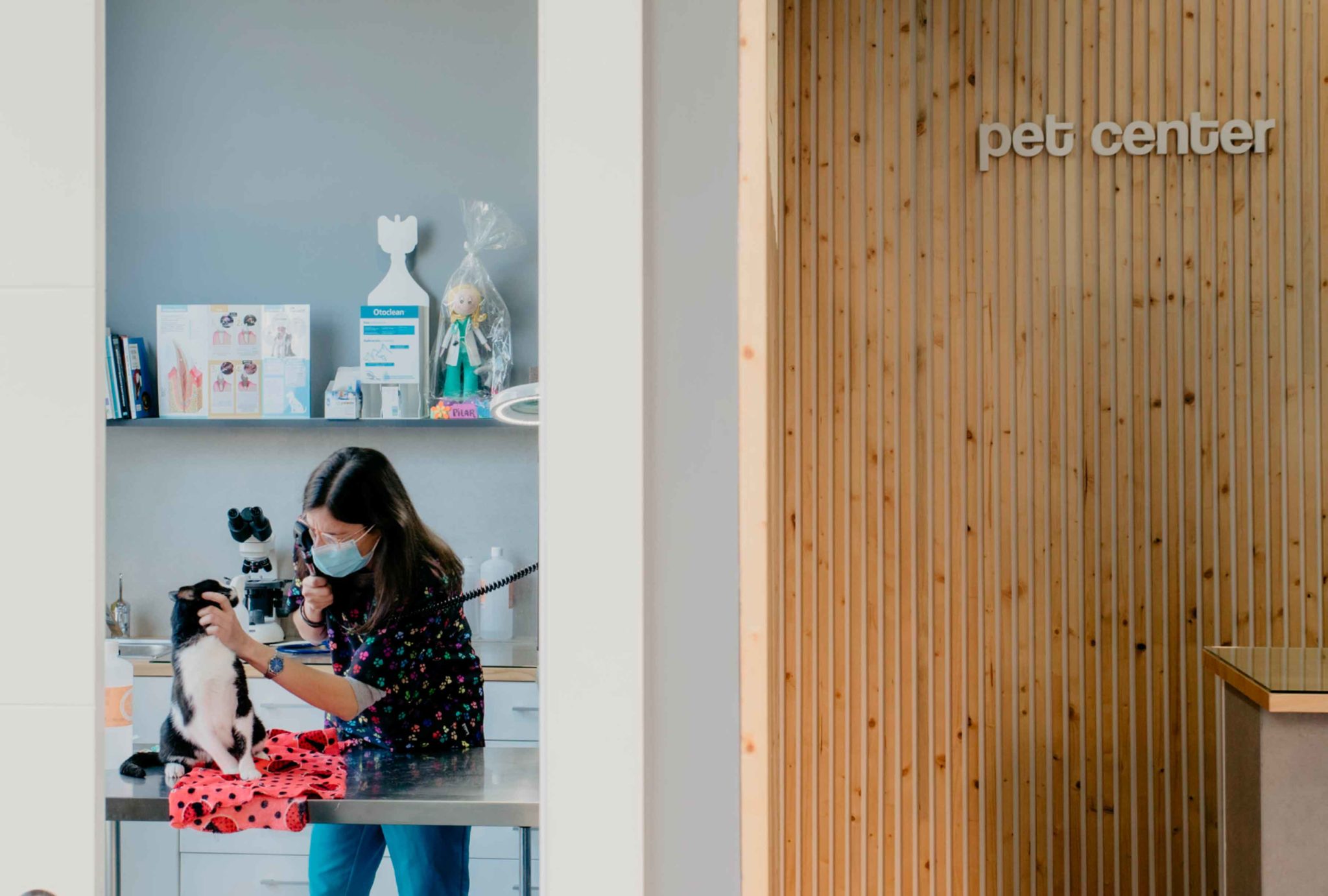 diseño interior veterinario castellon