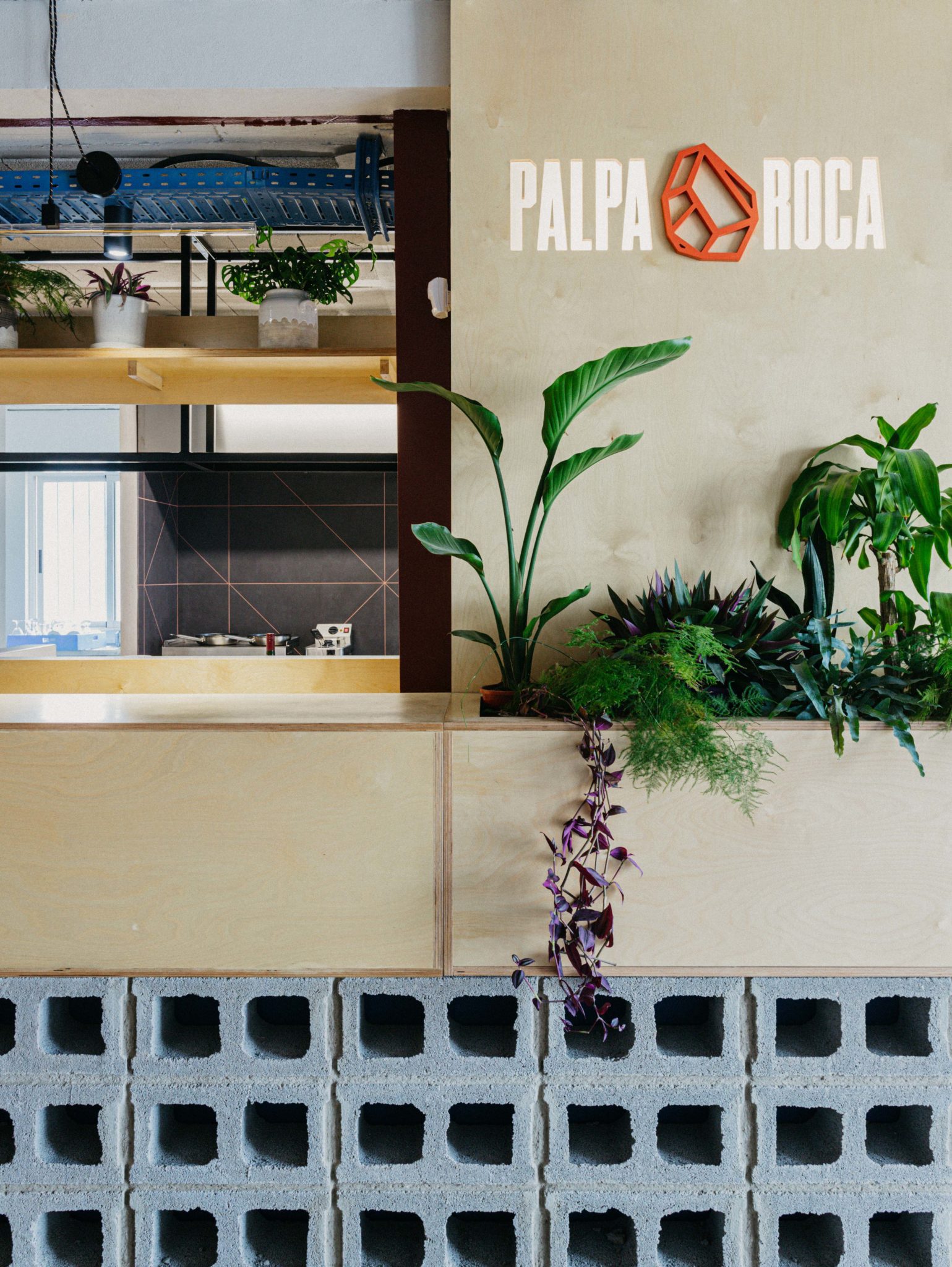 Diseño interior rocódromo castellon