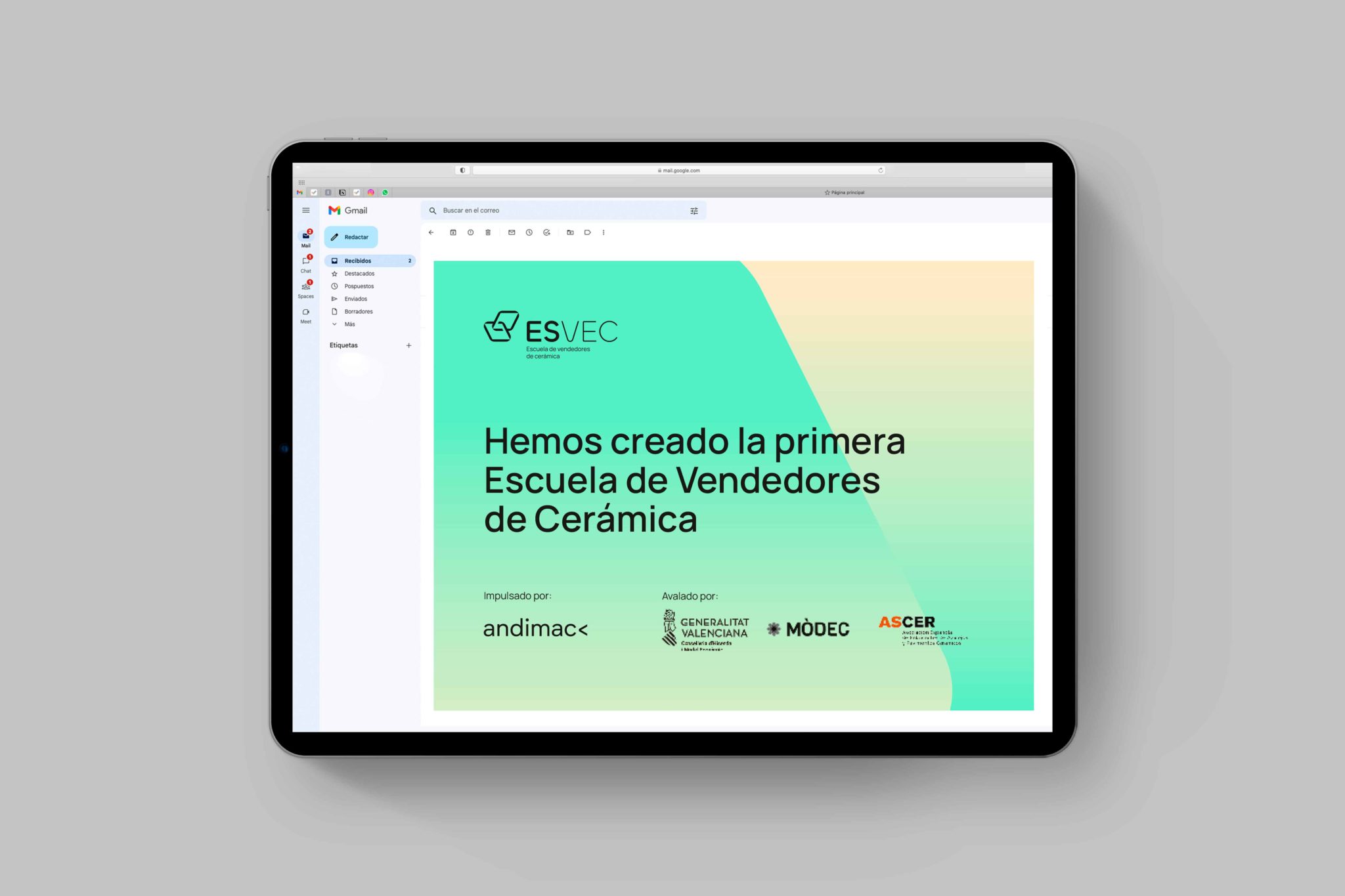 newsletter escuela online