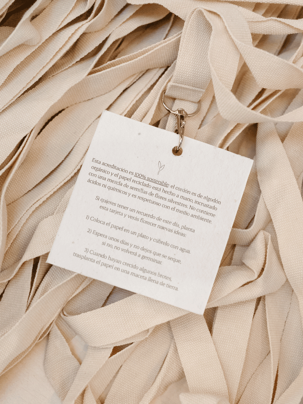 foro de sostenibilidad camara de comercio castellon